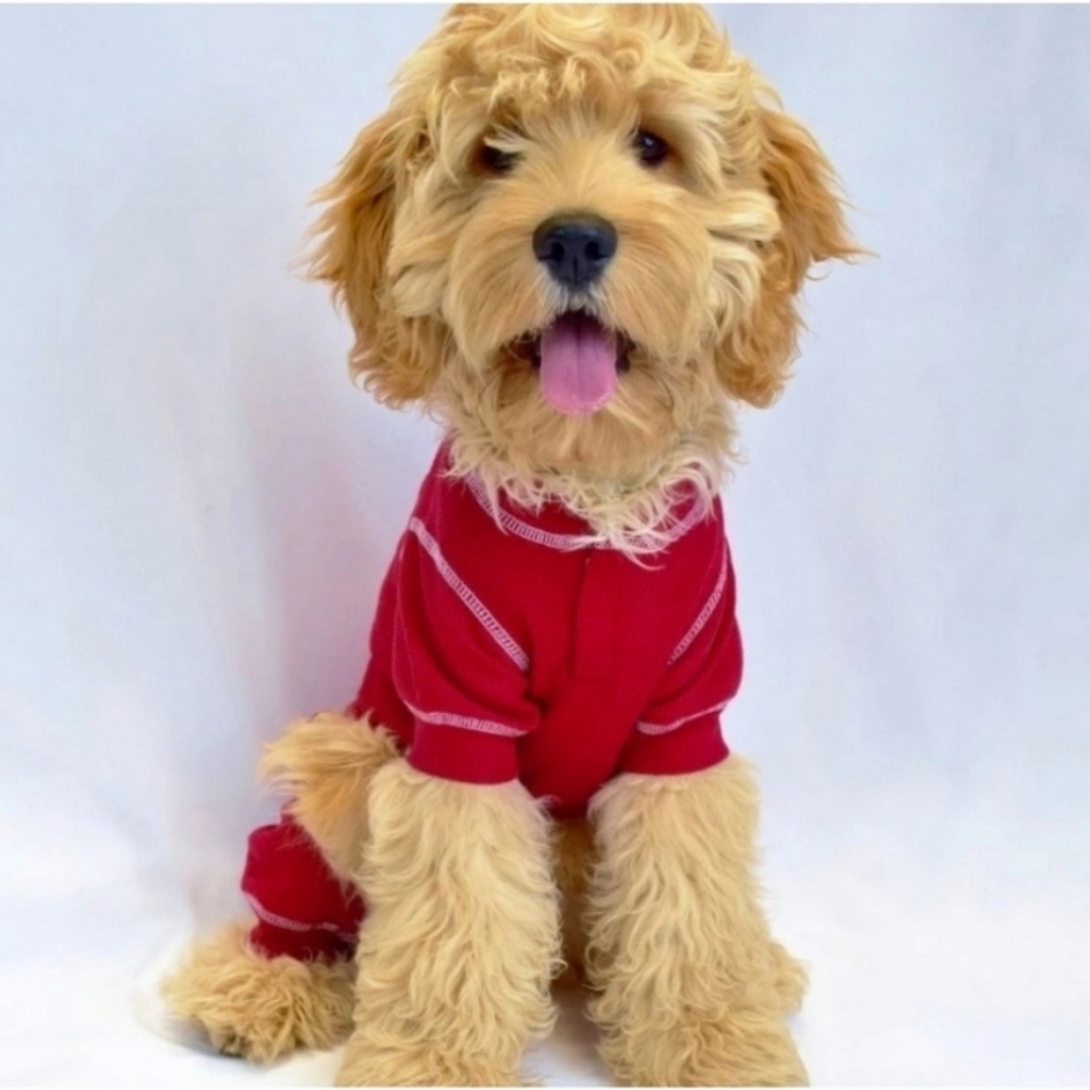 Fabdog Thermal Pajamas